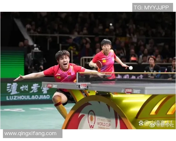 重庆乒乓球队在全国乒乓球比赛经验排行榜中荣登第十名的辉煌成就